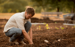 A person wearing a light shirt and jeans crouches down, planting seedlings in a garden with soil and mulch, in an outdoor setting.