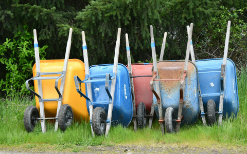 Six wheelbarrows in blue, yellow, and red colors are standing upright on grass with trees in the background.
