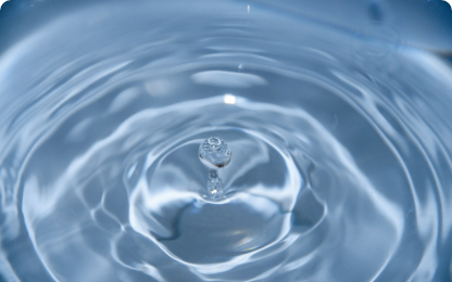 Water Quality Reports