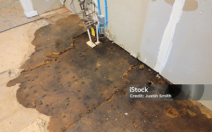 Water Damage Restoration